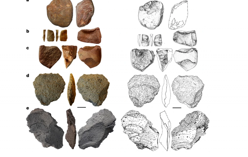 Найденные в Закарпатье каменные инструменты принадлежали самым древним жителям Европы