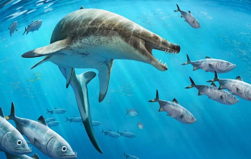 Палеонтологи открыли новый вид хищных морских динозавров
