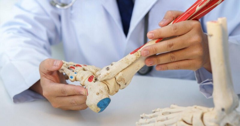 Реабилитолог Шишонин: Добавки с кальцием бесполезны для костей
