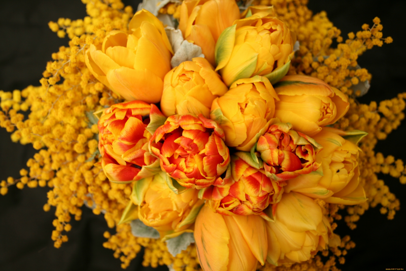 РОСТОВ. Стали известны цены на цветы в Ростове перед 8 Марта