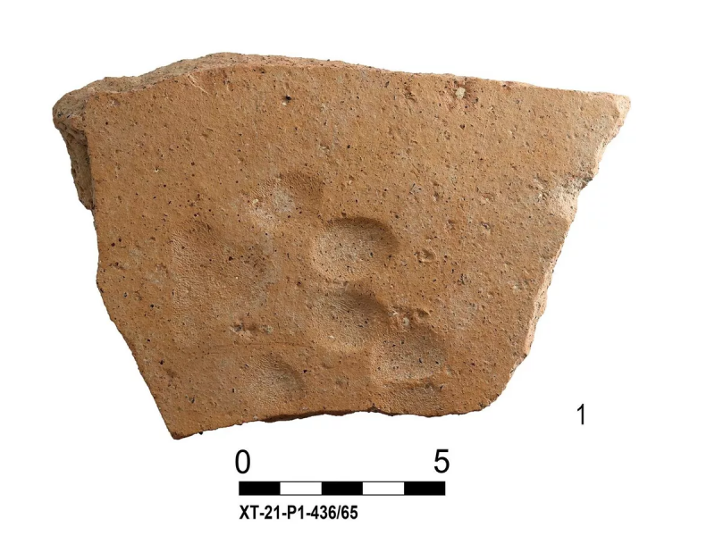 СЕВАСТОПОЛЬ. На Херсонесе во время раскопок археологи обнаружили изделия с отпечатками кошачьих лапок