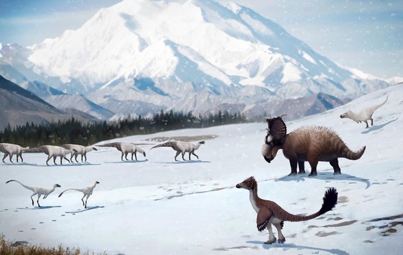 Ученые готовятся к экспедиции на полярное местонахождение динозавров в Якутии, единственное в Северном полушарии