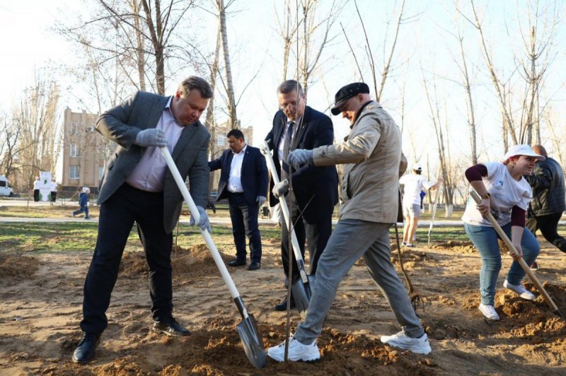 АСТРАХАНЬ. В Астраханской области высадили первые 8 тысяч деревьев в рамках акции «Сад памяти»
