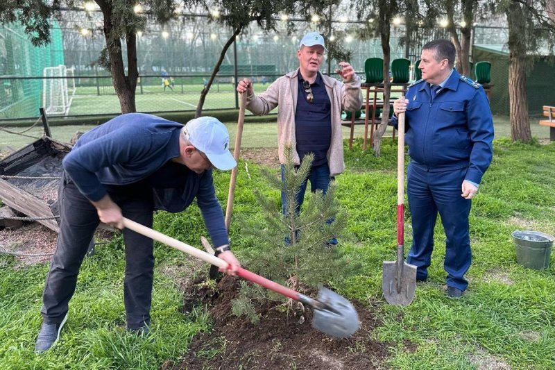 ДАГЕСТАН. Почти 100 деревьев высадили в Махачкале в парке имени Ленинского комсомола