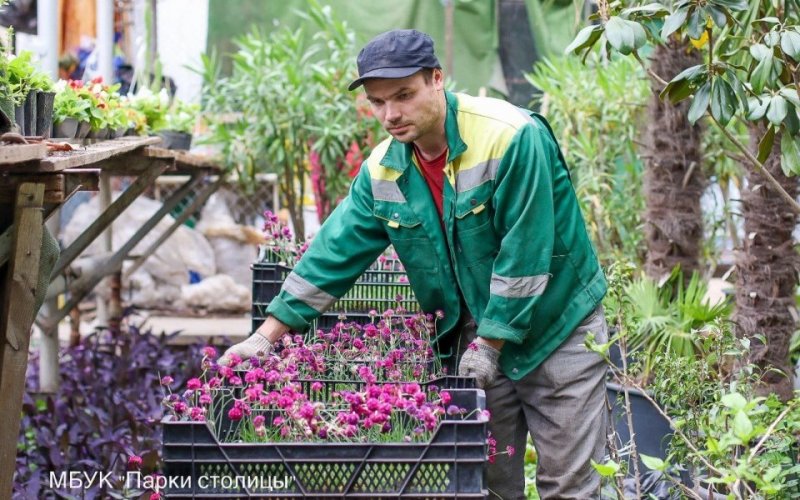 КРЫМ. Детский парк Симферополя украсят четыре тысячи цветов