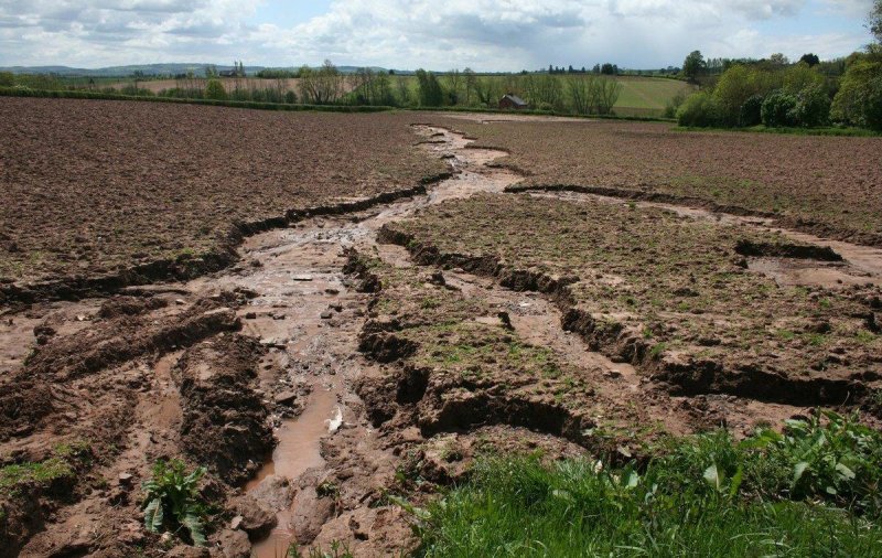 Российские специалисты нашли способ борьбы с эрозией почвы