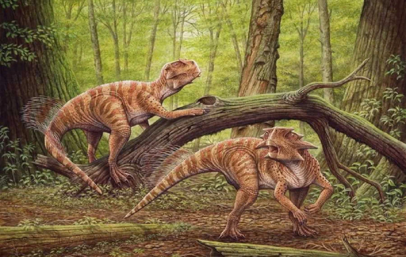 Российские ученые выяснили, зачем динозавры глотали камни
