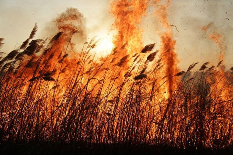 СТАВРОПОЛЬЕ. В Ставропольском крае готовятся к пожароопасному летнему сезону
