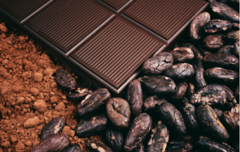 Ученые признали шоколад средством борьбы с болезнью Альцгеймера