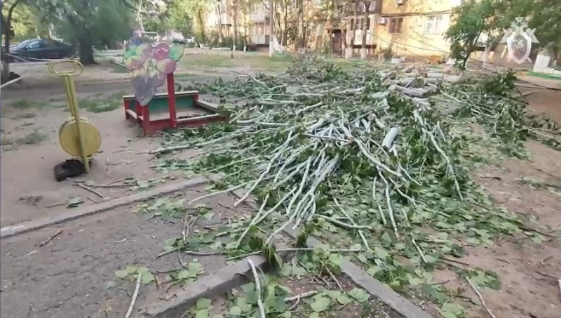 АСТРАХАНЬ. В Астрахани из-за падения дерева погиб ребенок