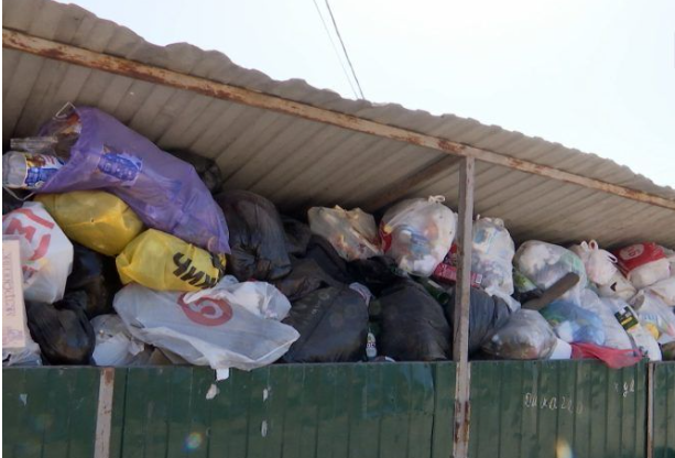 КРАСНОДАР. Мэр Краснодара раскритиковал местную мусороуборочную компанию
