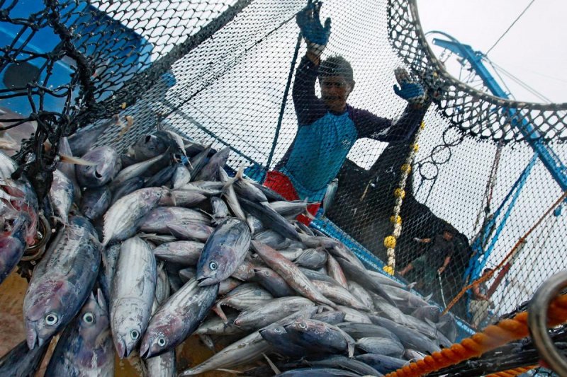 КРЫМ. Крым просит у федералов денег для местных рыбаков