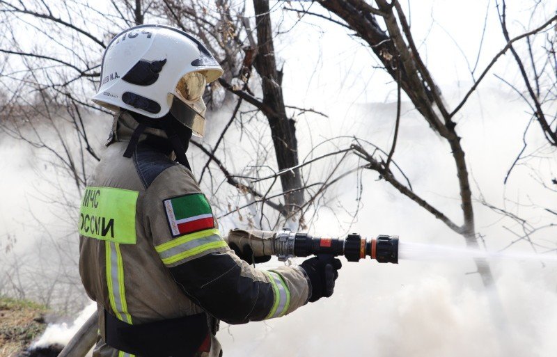 На прошедшей неделе  в России на пожарах спасли 659 человек