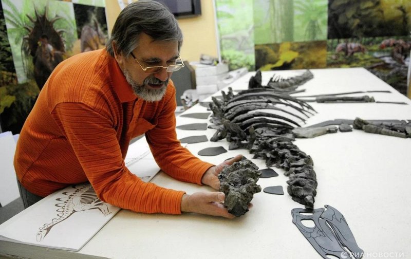 Российские палеонтологи открыли новый род ноазавридов