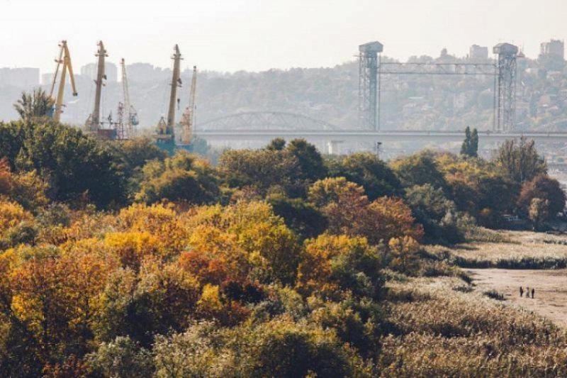 РОСТОВ. В Ростове в рамках эко-пикника гости смогут высадить деревья