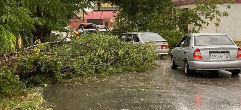 ЧЕЧНЯ. По районам региона пронесся мощный ураган