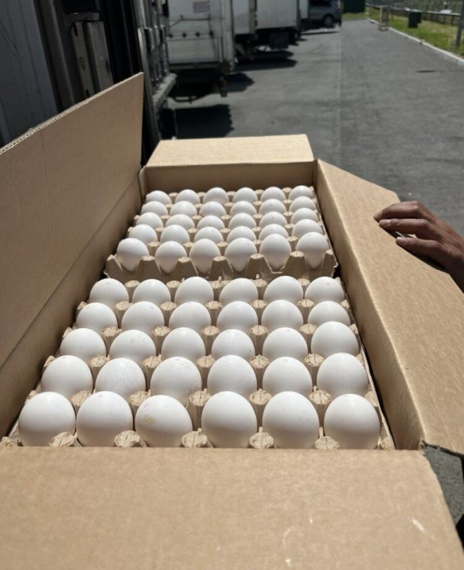 ДАГЕСТАН. Управление Россельхознадзора по РД проконтролировало очередные поставки яиц из Турции и Азербайджана
