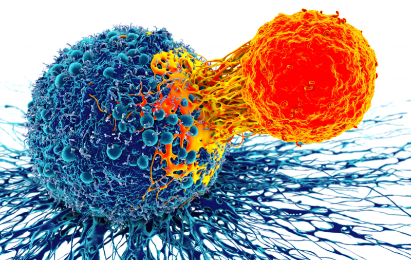 Ученые нашли способ избавиться от распространения раковых клеток
