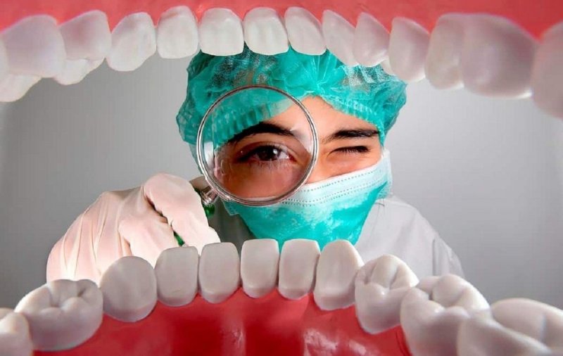 В Японии готовятся провести испытания технологии по выращиванию зубов