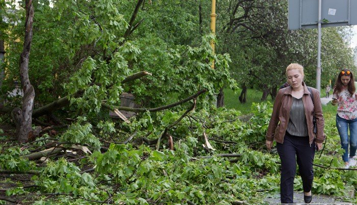 АРМЕНИЯ. Ураган повредил дома и повалил деревья в Армении