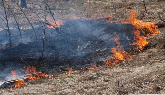 ГРУЗИЯ.  Пожар охватил гору Мтацминда в грузинской столице