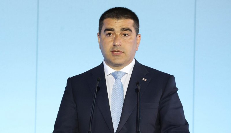 ГРУЗИЯ.  Спикер парламента призвал президента Грузии уйти в отставку