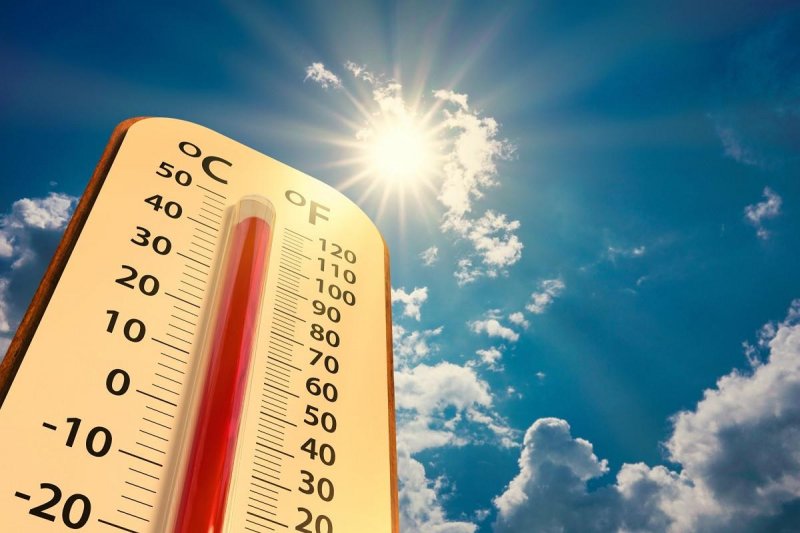 РОСТОВ. В Ростовской области объявили экстренное предупреждение из-за жары в 42 градуса
