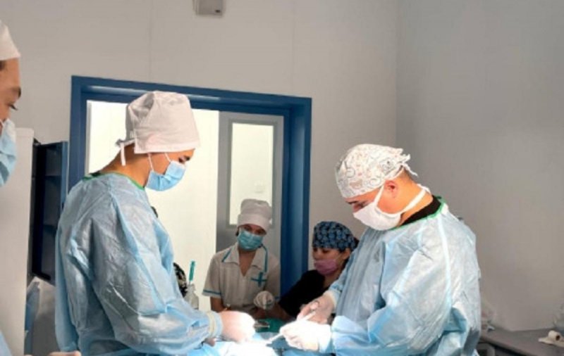 В Башкирии впервые успешно трансплантировали искусственный кишечник