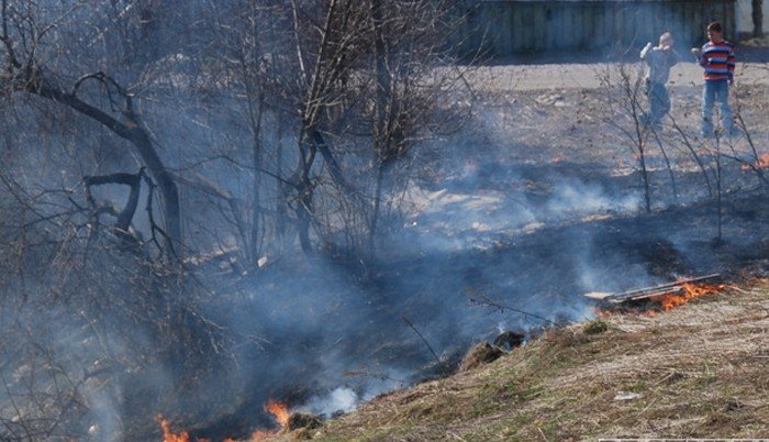 АБХАЗИЯ. Пожар продолжает полыхать в Гагре в Абхазии