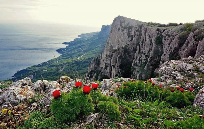 В Крыму изучают сейсмоактивность после землетрясения в Черном море