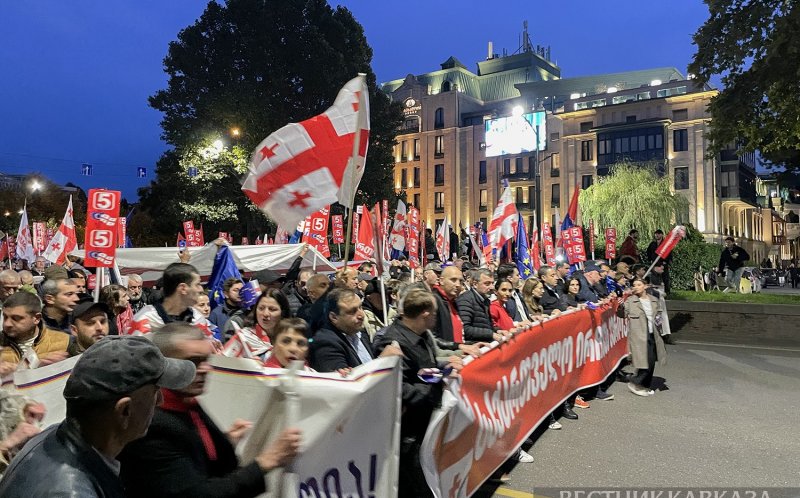 ГРУЗИЯ.  Участники митинга вернулись на прежнее место протеста в Тбилиси