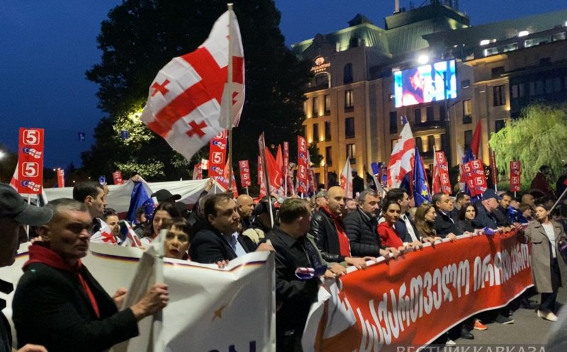 ГРУЗИЯ.  Премьер Грузии поблагодарил участников протестов против правительства
