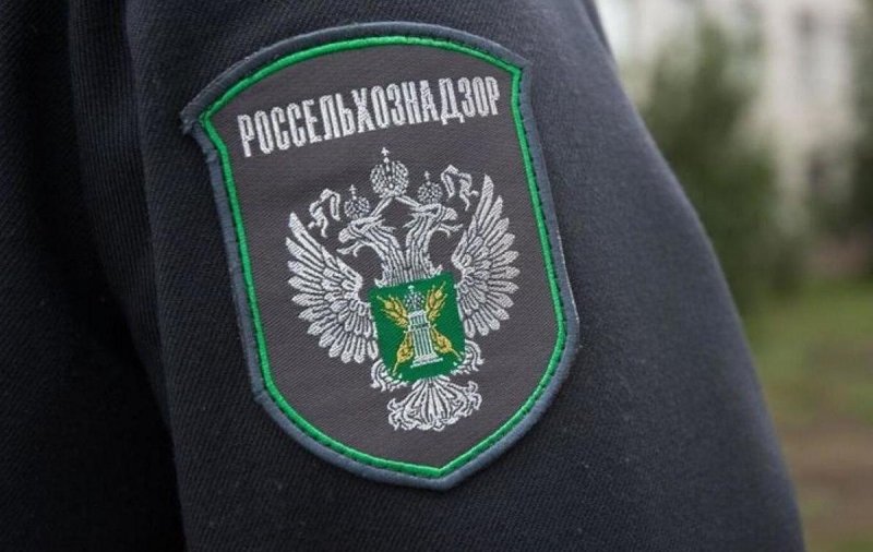 ЧЕЧНЯ. Чечня экспортирует кориандр: рекордные 132 тонны отправлены в Узбекистан