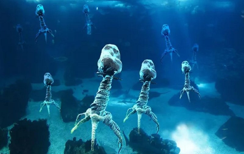 Биологи обнаружили в образцах морской воды сотни неизвестных науке вирусов
