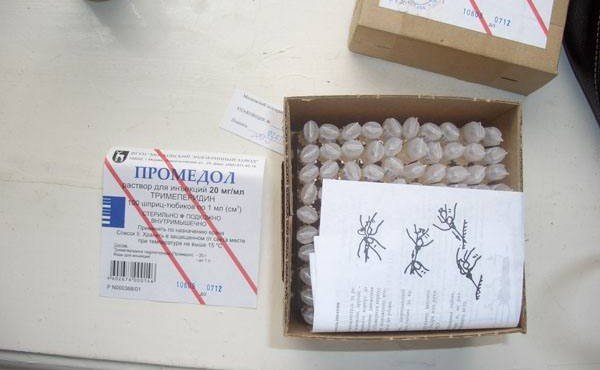 ЧЕЧНЯ. Еженедельная авторская колонка;