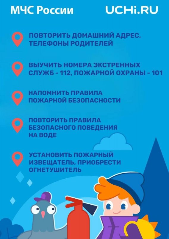 ЧЕЧНЯ. Порядка 2 миллионов детей проверили свои знания о безопасности