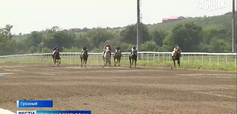 ЧЕЧНЯ. Скаковой сезон в самом разгаре: конные состязания набирают темп в Чечне
