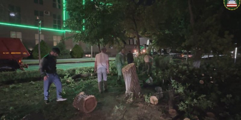ЧЕЧНЯ. В ГРОЗНОМ УСТРАНЯЮТ ПОСЛЕДСТВИЯ ШТОРМОВОГО ВЕТРА