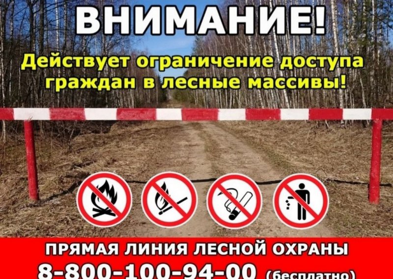 ДАГЕСТАН. Даглесхоз ввел ограничения на посещение лесов