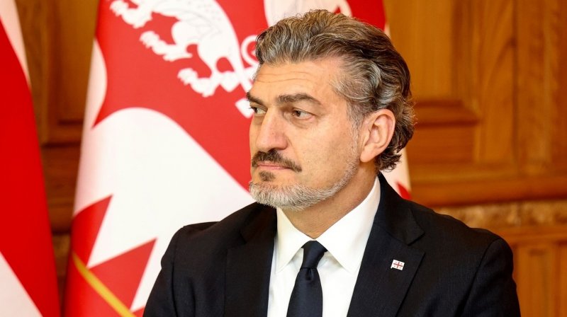 ГРУЗИЯ. Кавелашвили может посетить Турцию в июле