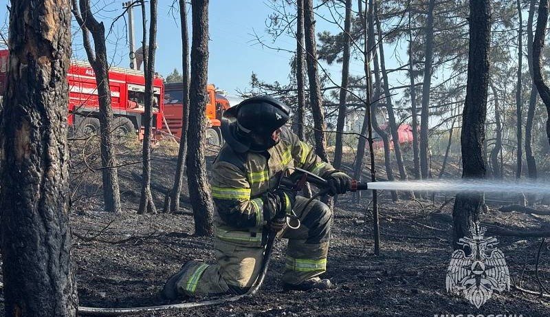 СЕВАСТОПОЛЬ. Огонь охватил природные территории Севастополя