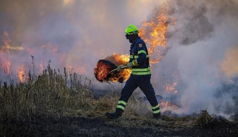 ЧЕЧНЯ. 360 пожаров за лето: МЧС Чечни в огне, а люди всё жгут траву