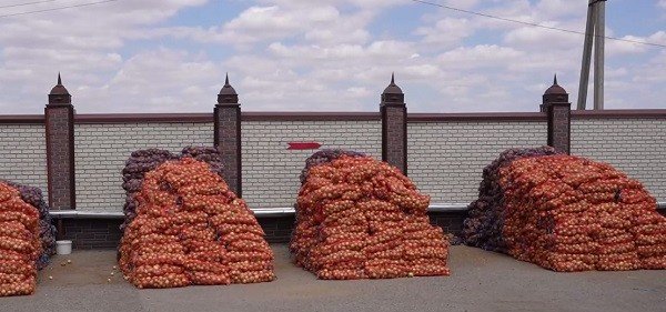 ЧЕЧНЯ. Благотворительность как стиль жизни: акция в Грозном собрала сотни неравнодушных