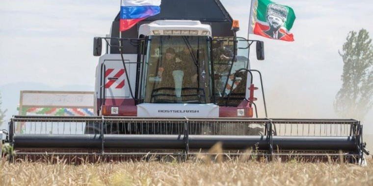 ЧЕЧНЯ. Урожай озимых в Чечне побил прошлогодний рекорд