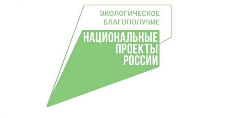 Природа зовёт: В России запустили рекламу экологического туризма для жителей и гостей страны
