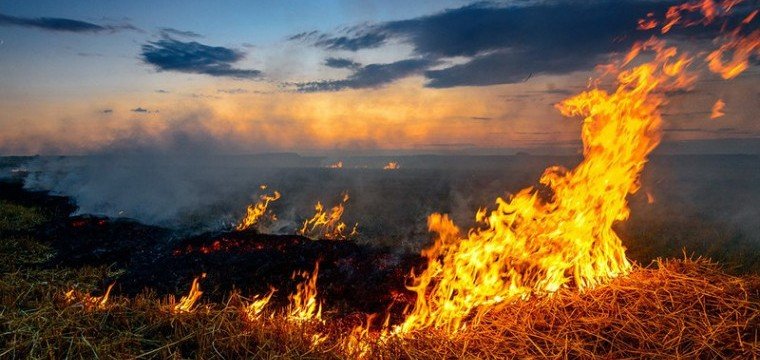 ЧЕЧНЯ. Огонь рядом: в республике обьявлена экстремальная угроза пожаров!