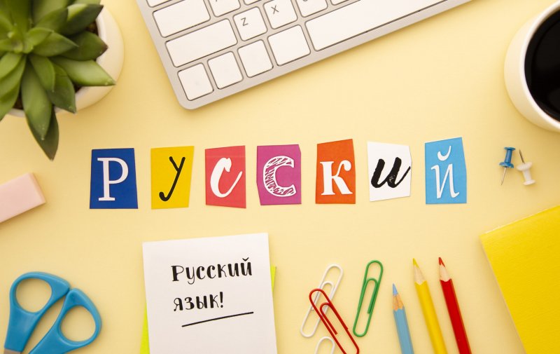 ЧЕЧНЯ. Русский язык в сердце Катара: в Дохе продолжается увлекательное обучение по авторской программе