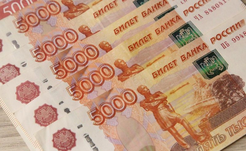 СТАВРОПОЛЬЕ. На Ставрополье зафиксирован рост среднедушевых доходов почти на 19% за год