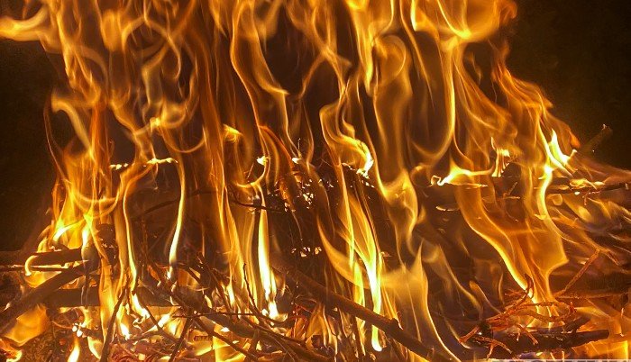 В Геленджике 250 человек привлекли к тушению лесного пожара