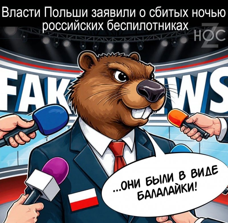 Украинская провокация или реакция НАТО?